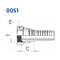 BSP Female 60° Cone - Rolled Nut