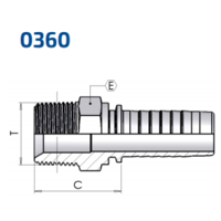 BSP Taper Male 60° Cone